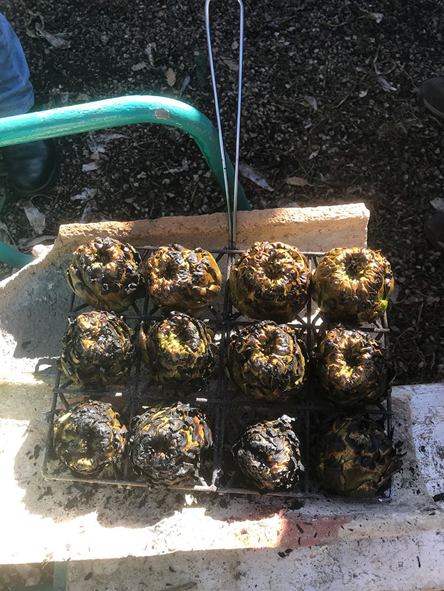 21 Calcotata 2018